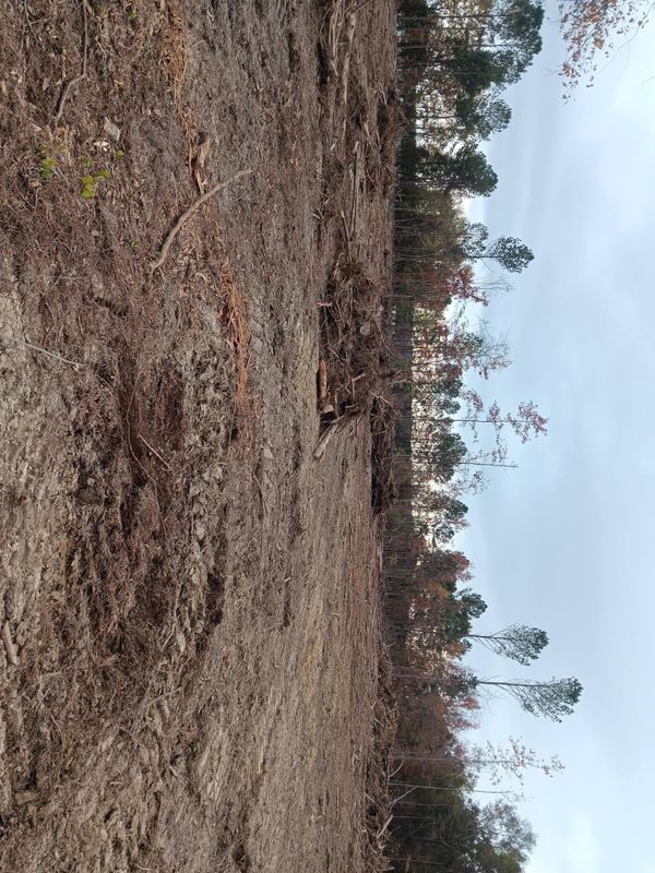 Septic leach fields