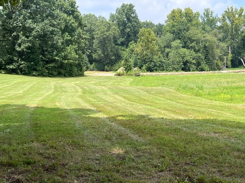 Lawn Maintenance
