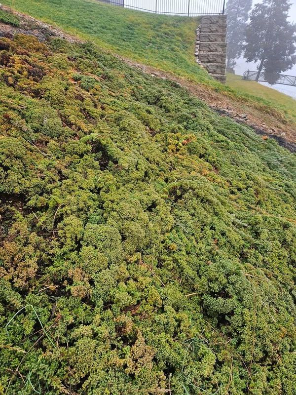 Land Grading