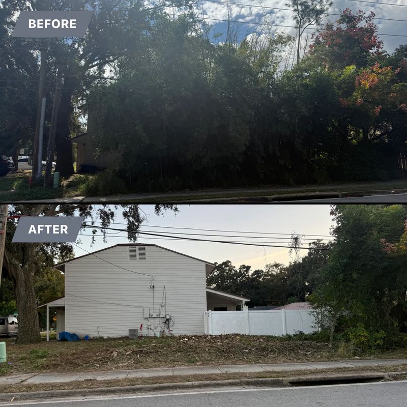 Land Clearing