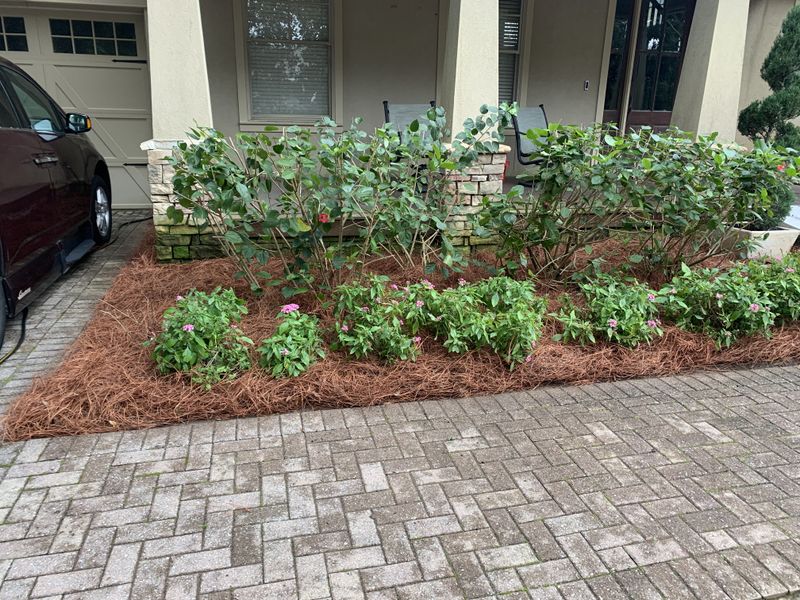 Pine-straw Installation