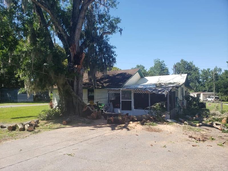 Emergency Tree Services