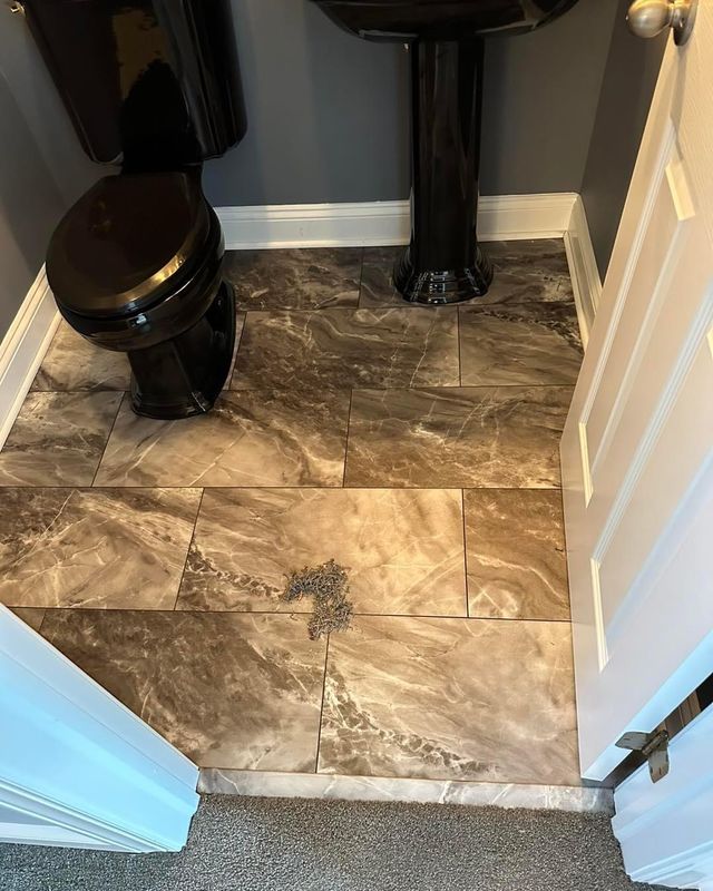 LVP (Luxury vinyl plank) Flooring