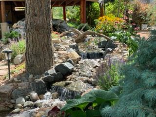 Pond Construction
