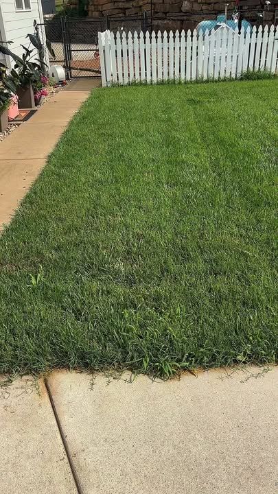 Lawn Maintenance