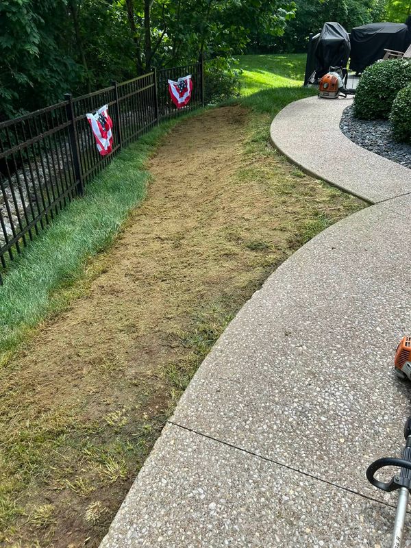 Patios & Walkways