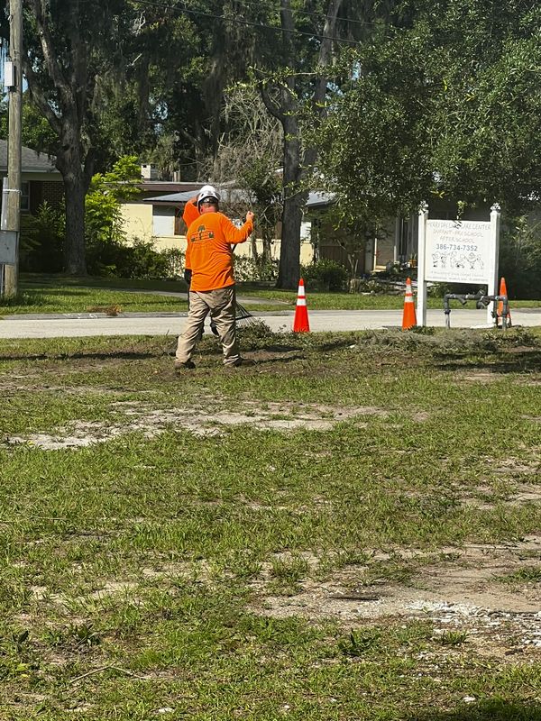 Land Clearing
