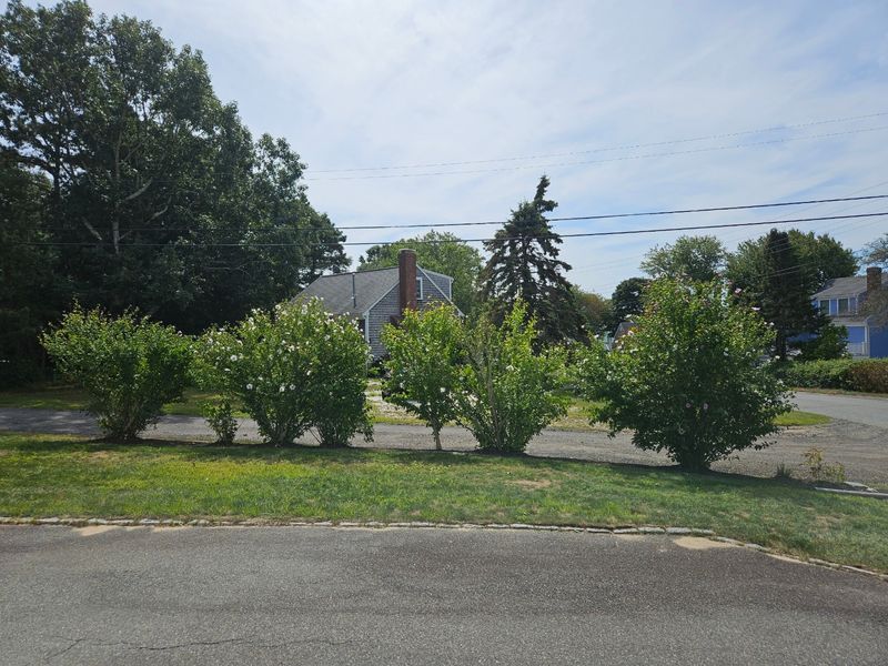 Shrub Trimming