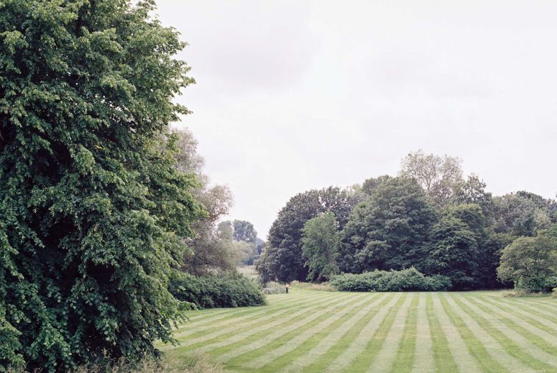 Lawn Maintenance