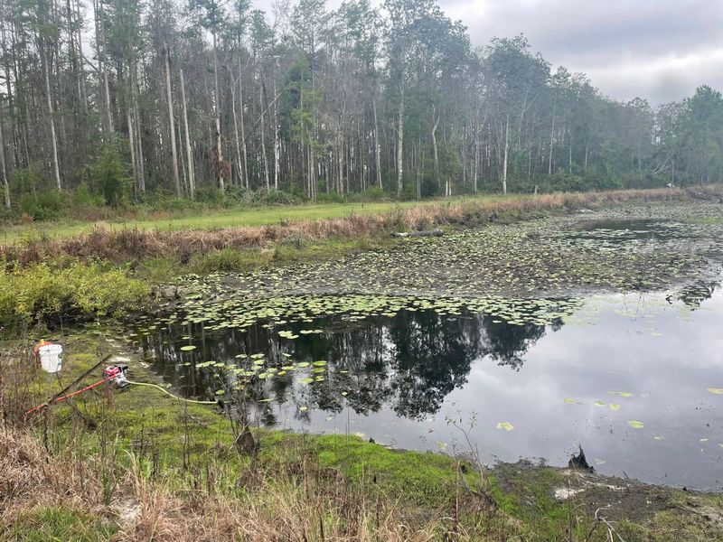Pond Construction
