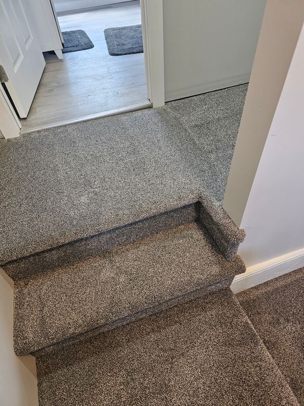 Carpet Installation and Repair