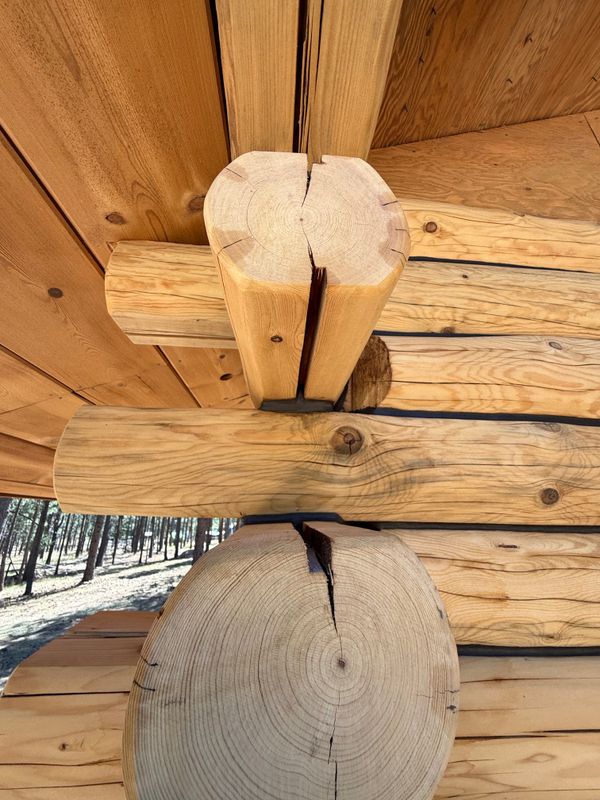Log replacement and repair.