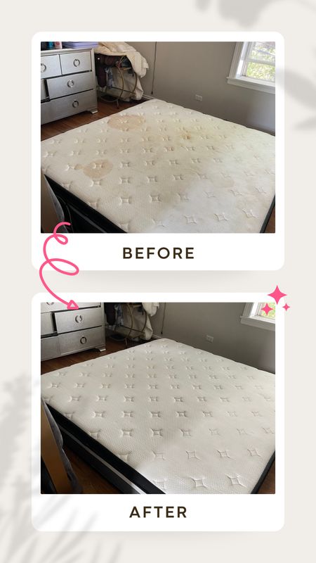 Upholstery Cleaning