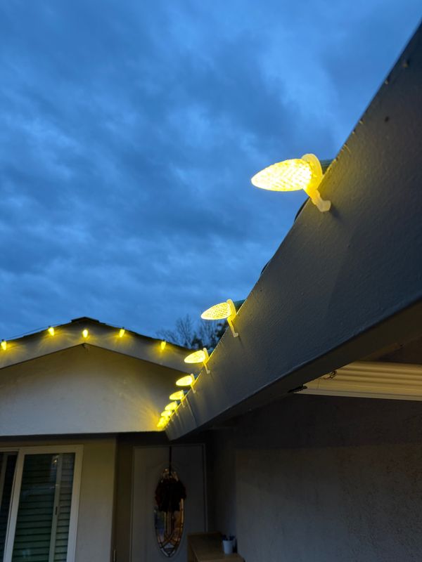 Holiday Lights