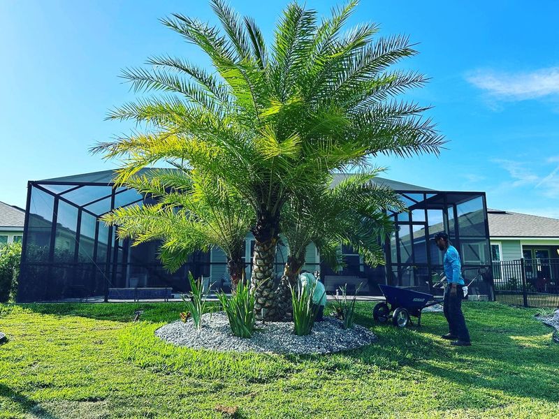 Landscape Design & Installation