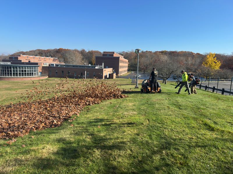 Fall cleanup