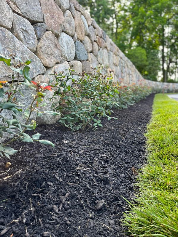 Lawn Maintenance