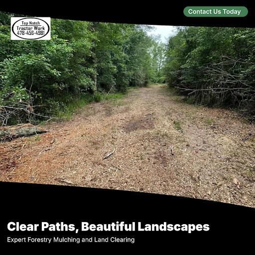 Land Clearing & Forestry Mulching