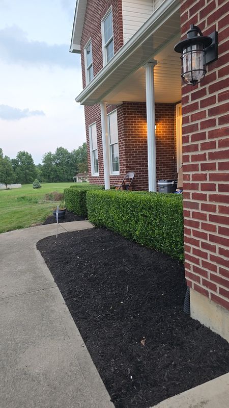 Mulch Installation