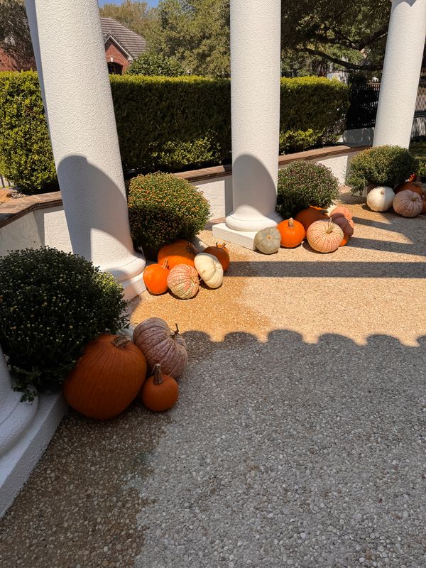 Fall Decorations 