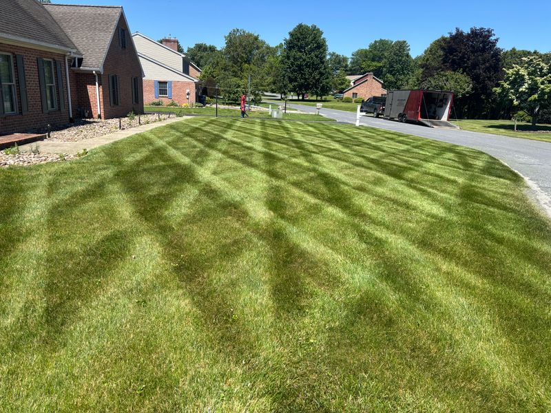 Lawn Mowing