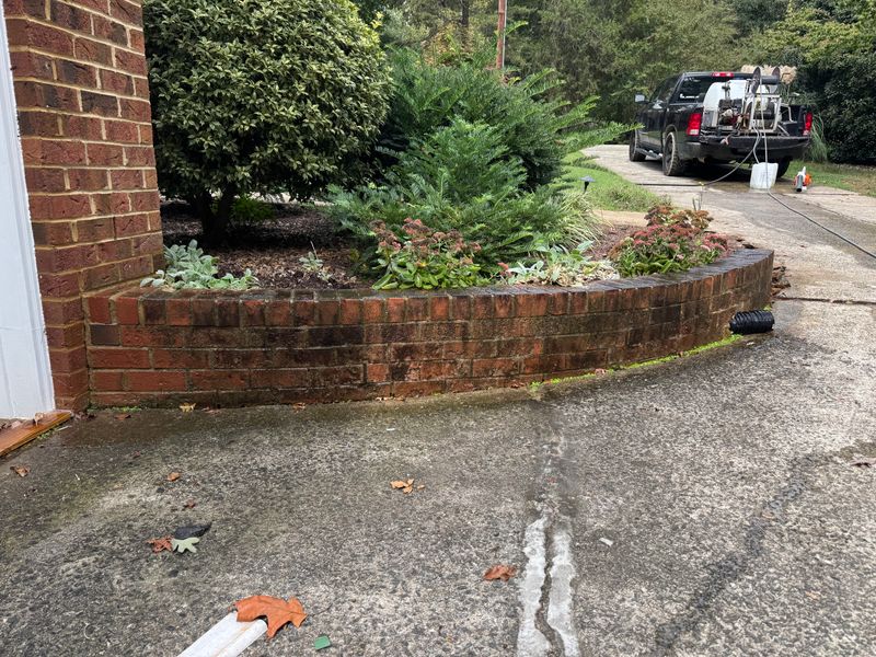 Driveway Pressure Washing
