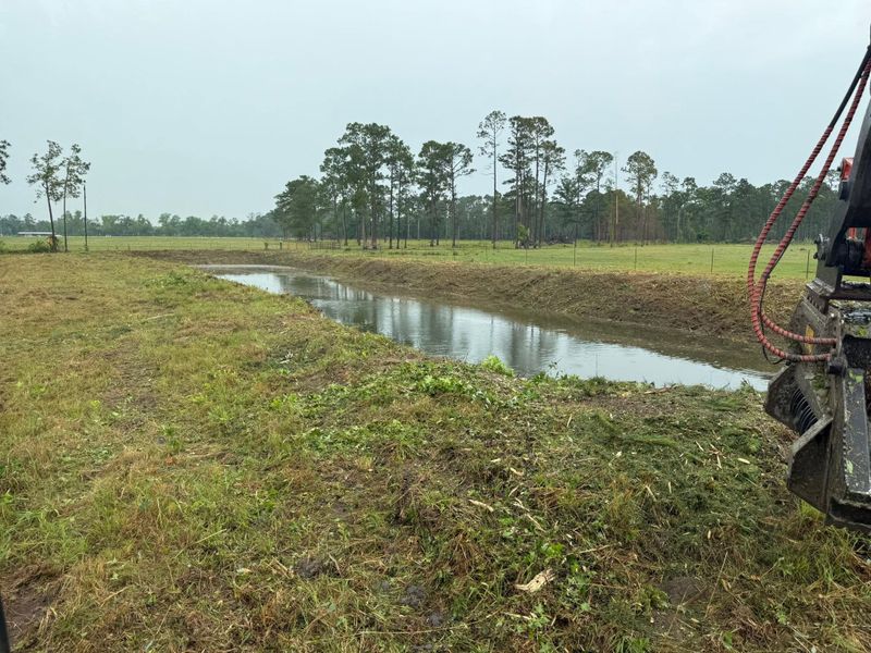 Land Clearing