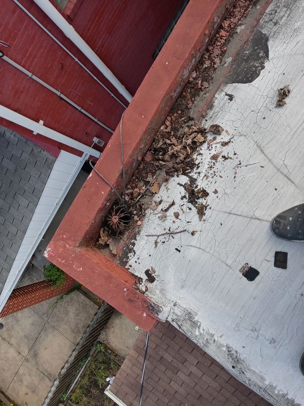 Roofing