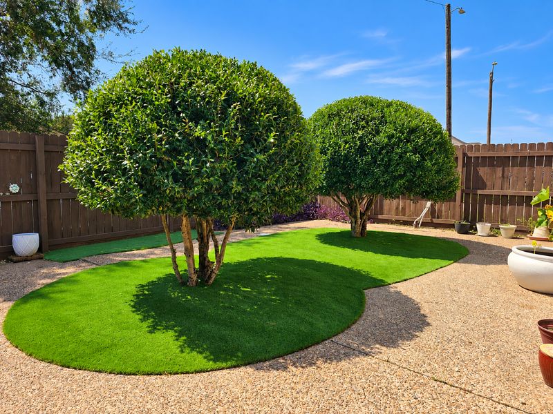 Artificial Turf