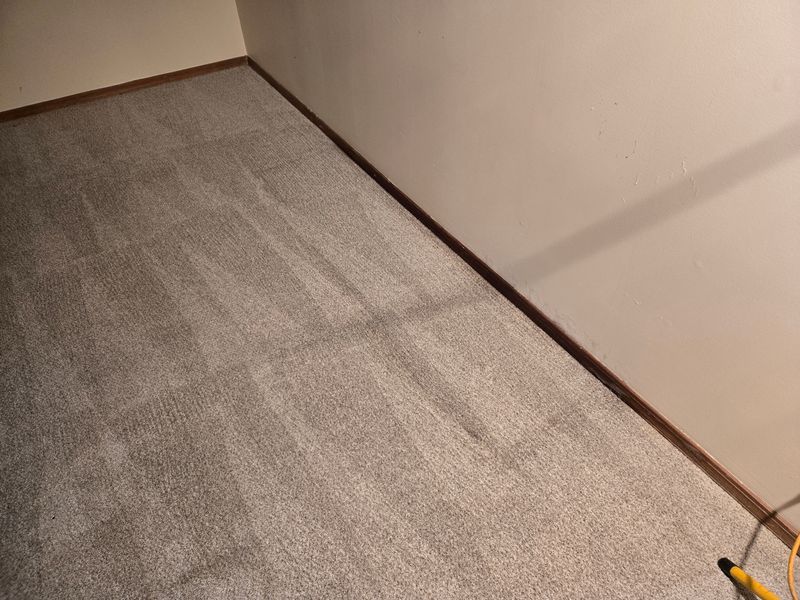 Carpet Cleaning