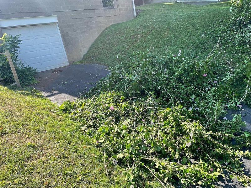 Fall Cleanup