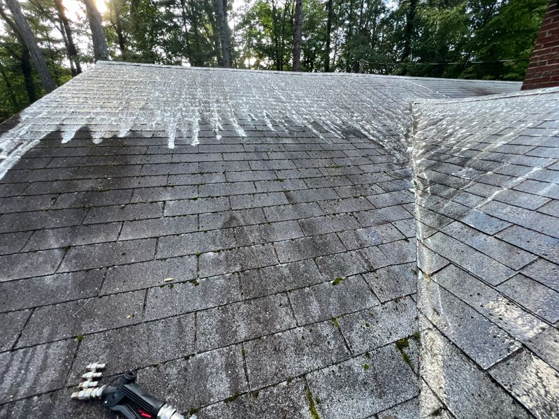 Roof Cleaning