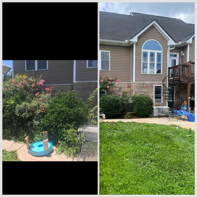Shrub Trimming