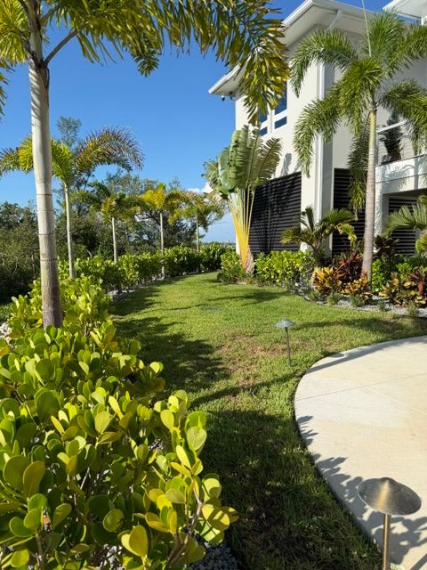 Lawn Care and Maintenance