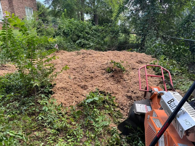 Stump Grinding gallery