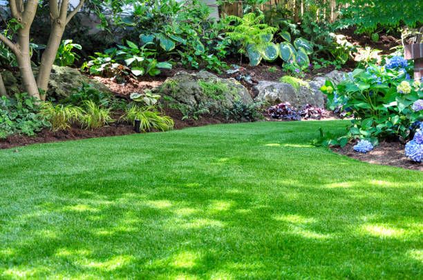 Flower Beds