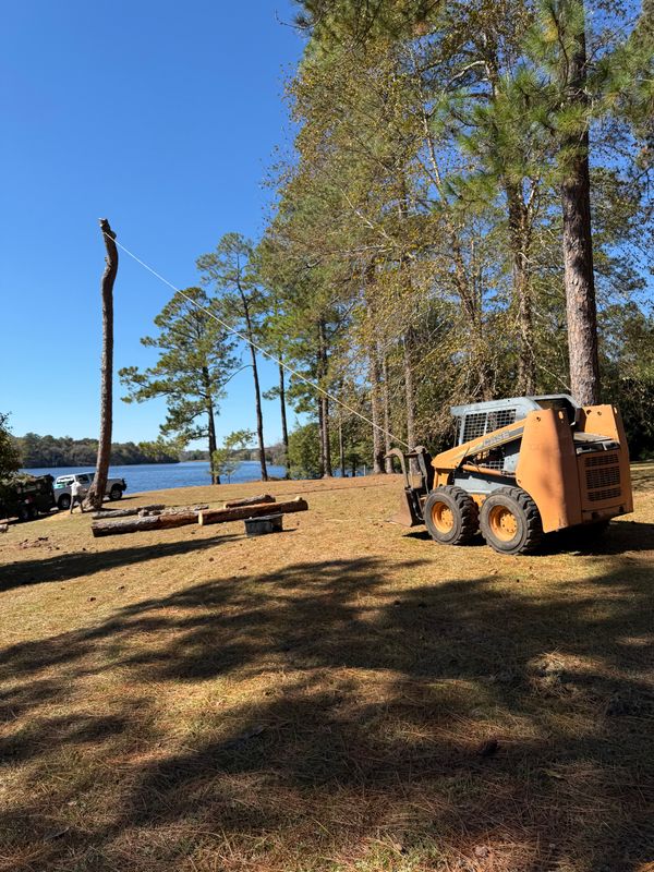 Land Clearing