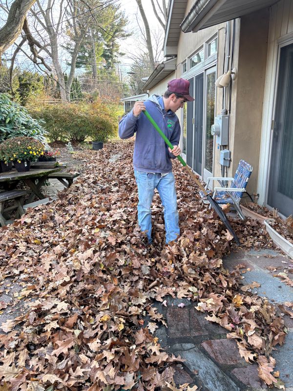 Fall Clean Up
