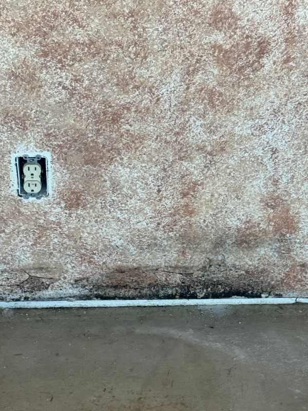 Mold Remediation