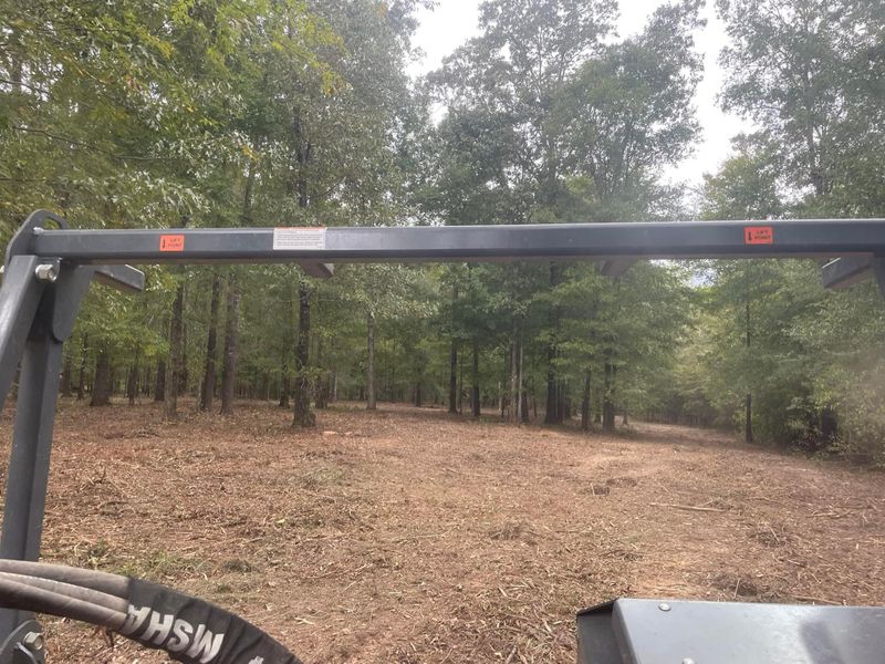 Forestry Mulching
