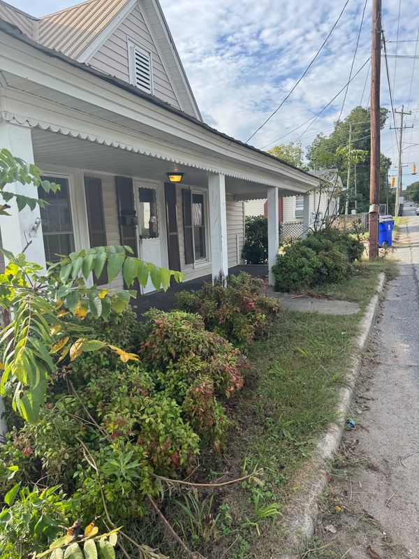 Yard Cleanup gallery