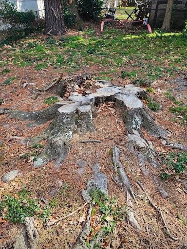 Stump Grinding