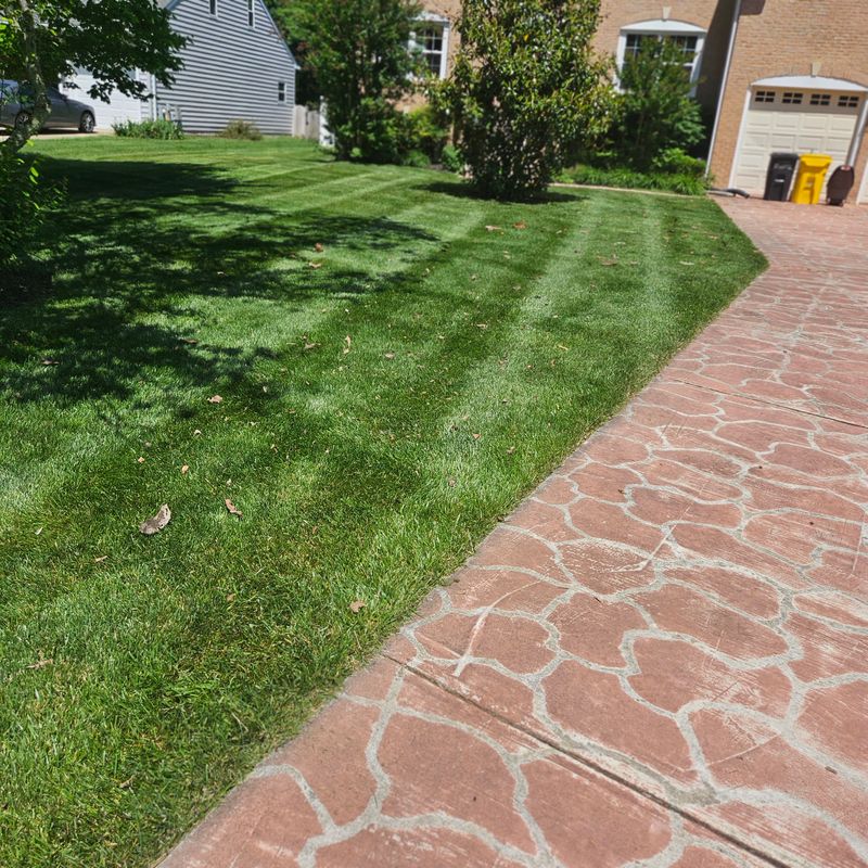 Lawn Maintenance