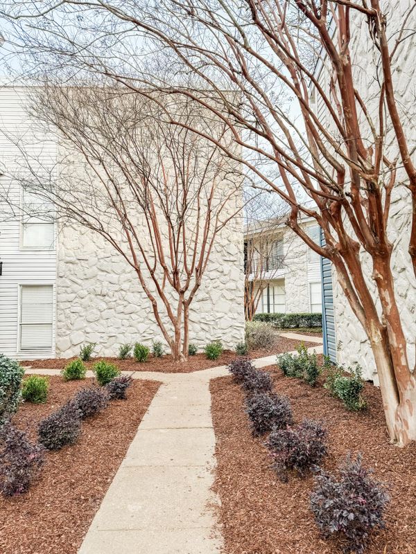Landscaping