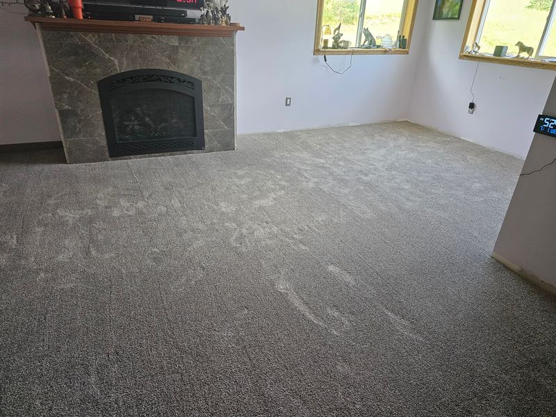 Carpet Installation and Repair