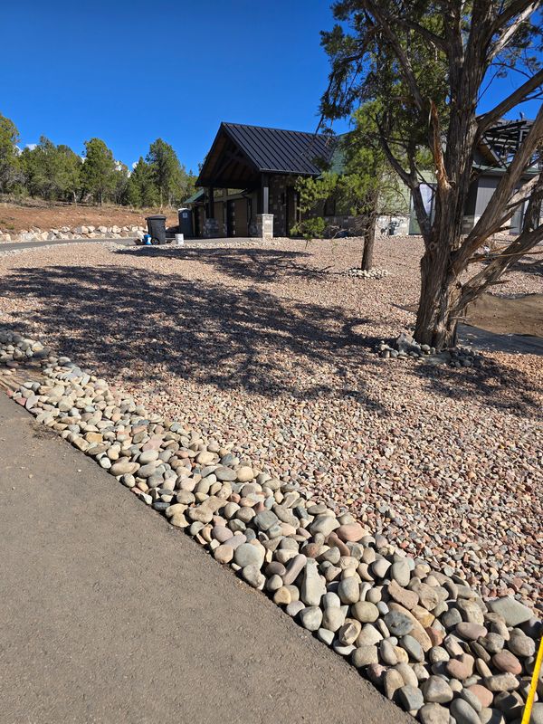 Xeriscaping