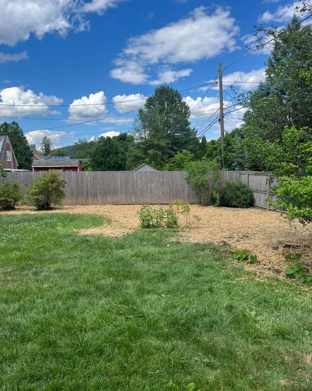 Landscape Design