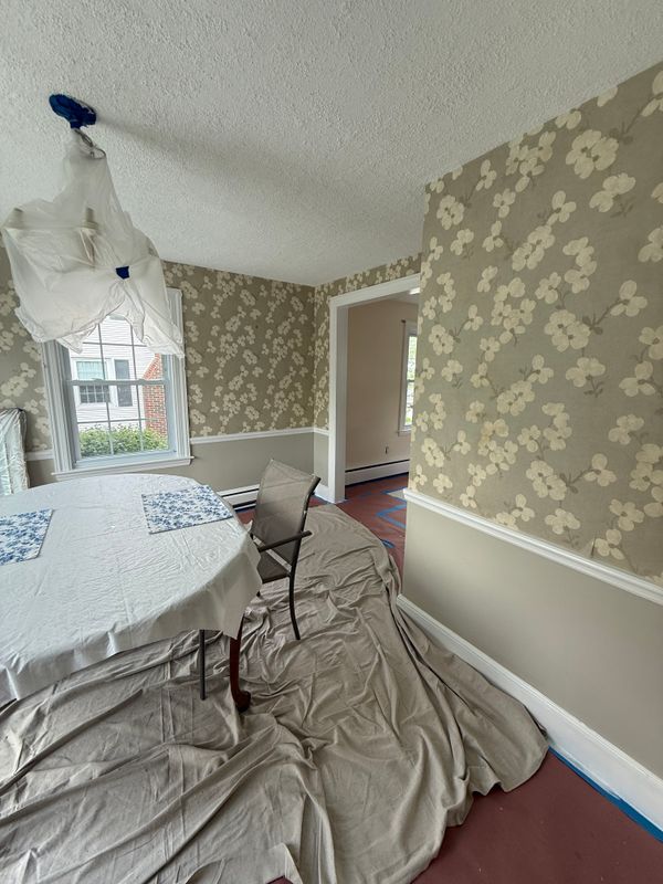 Interior and Exterior Painting
