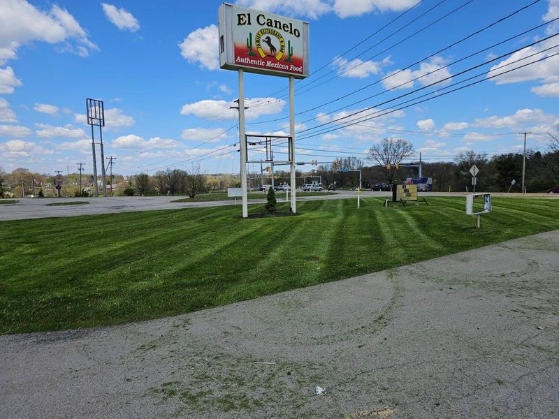 Lawn Maintenance