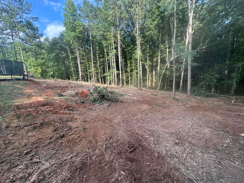 Forestry Mulching